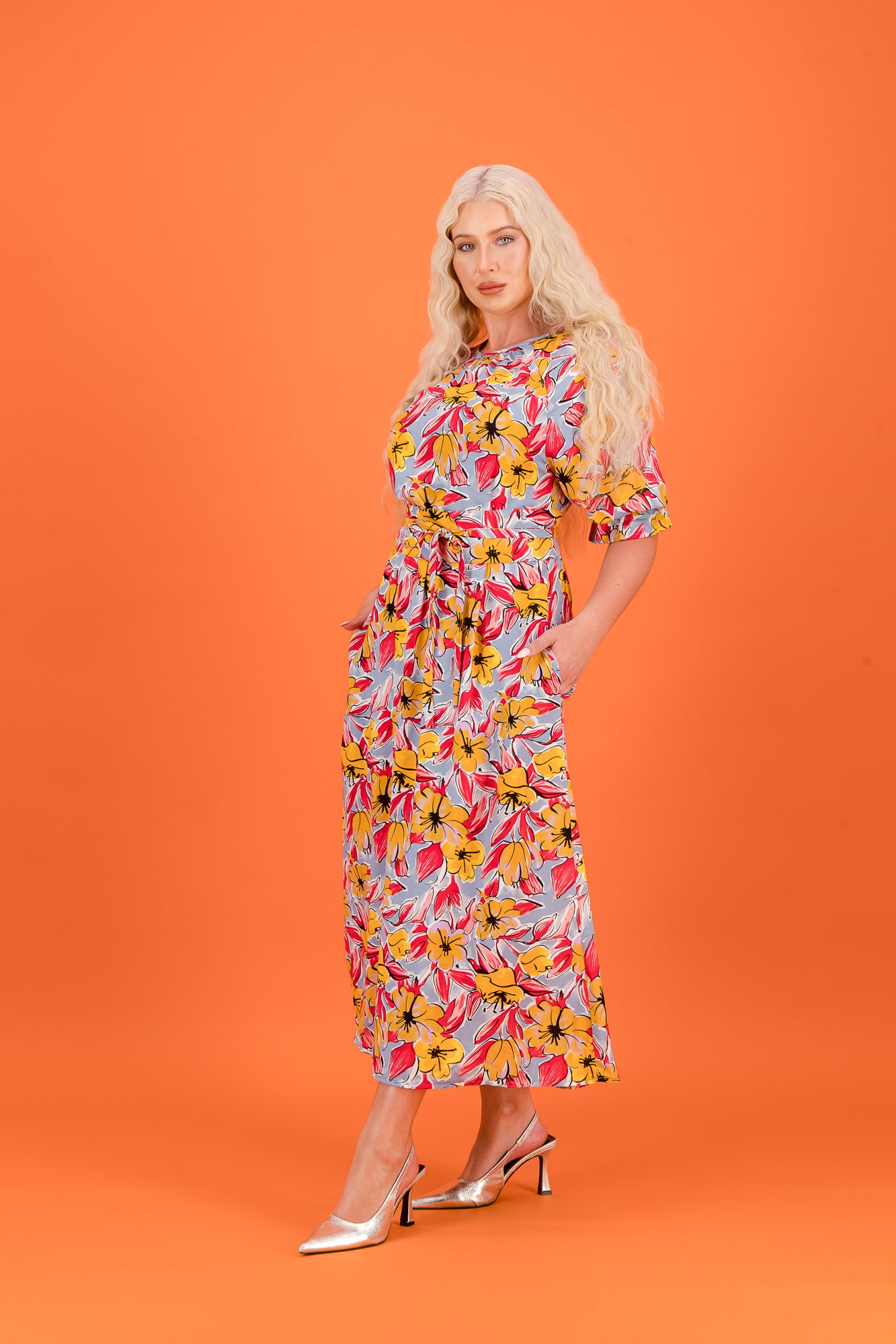 ANGIE - multi